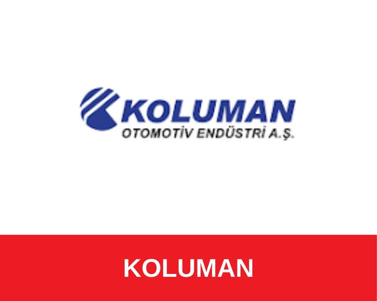 Mevcut referans arşivindeki kuruluş logosu 29